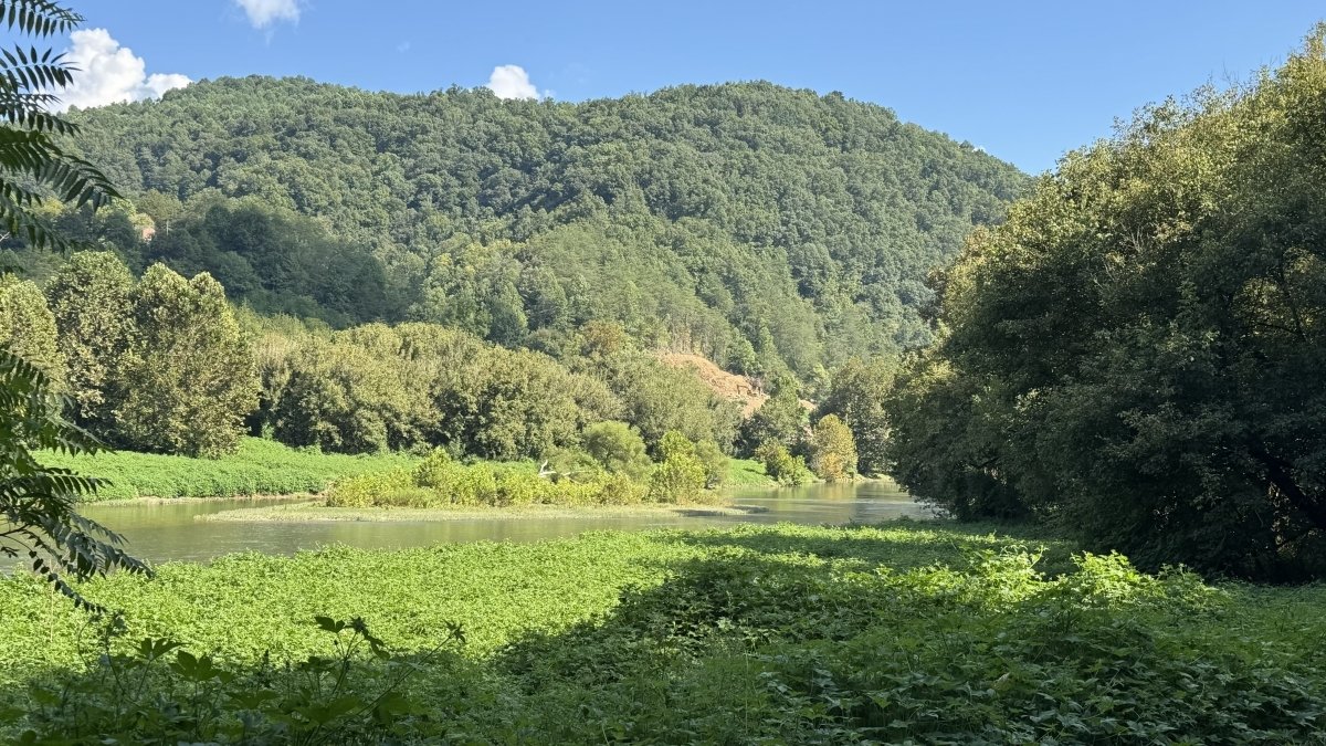 Clinch River
