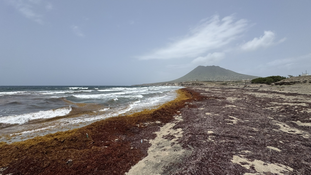 Zeelandia Beach