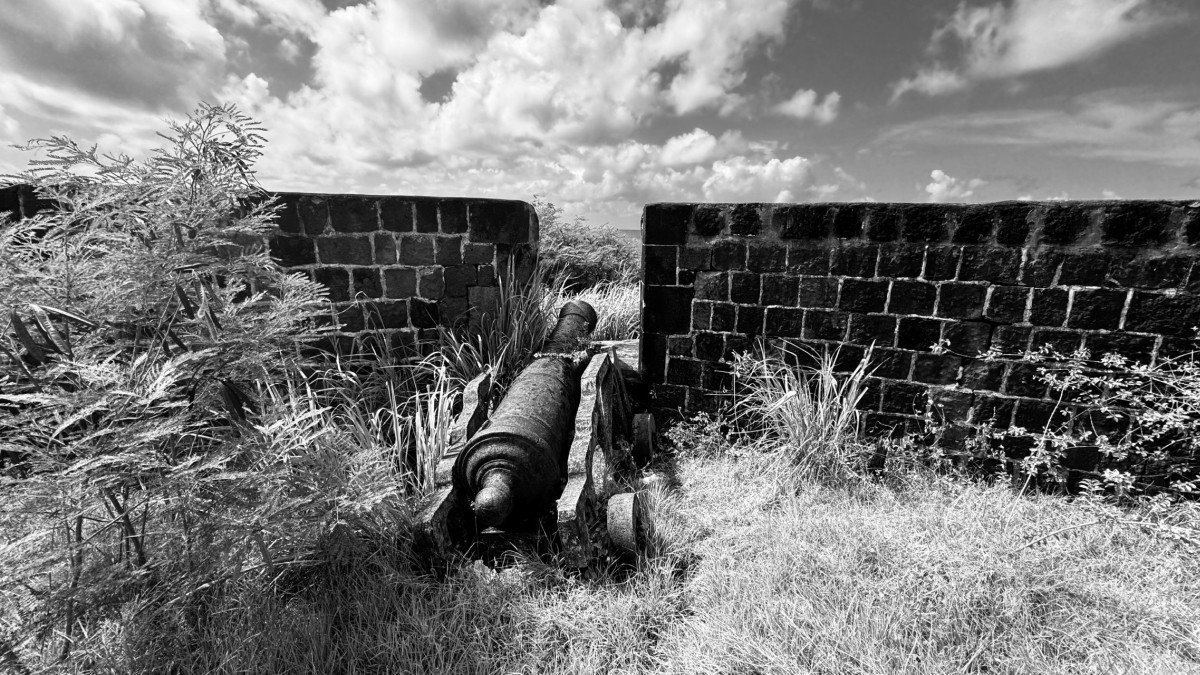 Fort Thomas Cannon