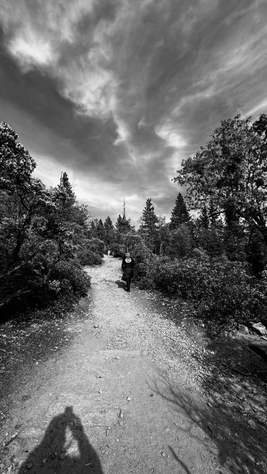 Trail to Mariposa Grove